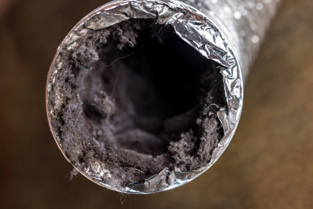 Best Affordable HVAC Duct Cleaning  in Kenhorst, PA